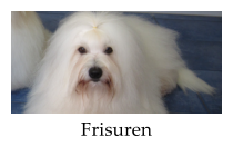 Frisuren