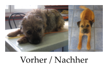 Vorher / Nachher